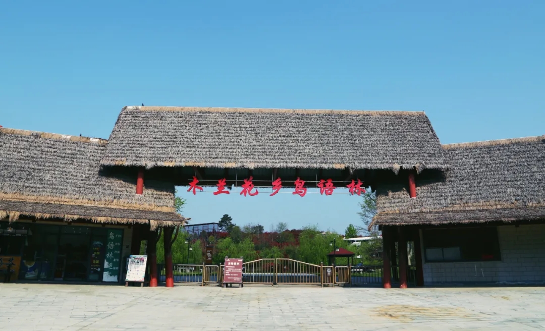 北艺画室2021教师团建
