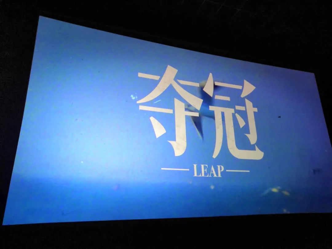 夺冠